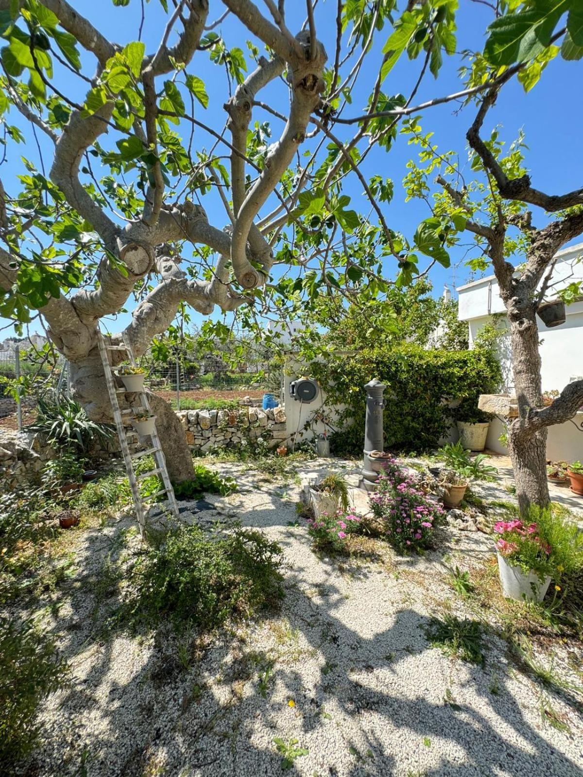 Trulli Resort Aia Piccola Alberobello Exterior foto