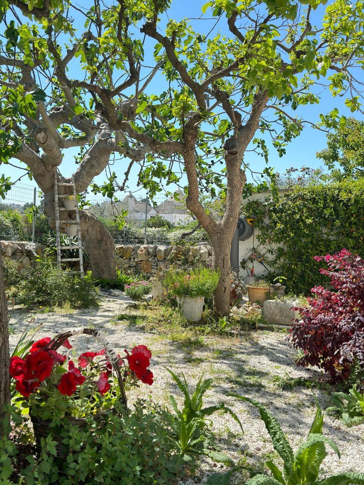 Trulli Resort Aia Piccola Alberobello Exterior foto